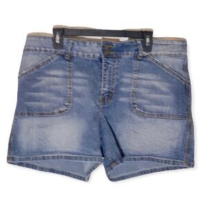 Zana Di Flat Front High Rise Denim Shorts 18